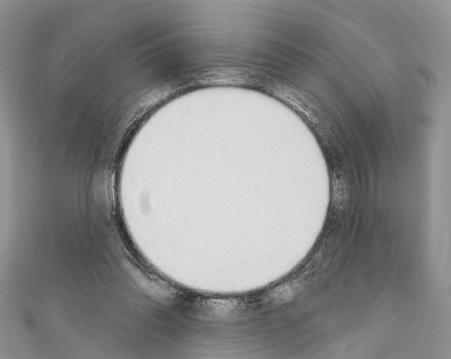 X0000110700302200907241130