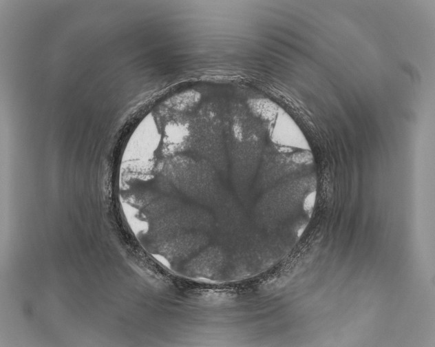 X0000110700303200907241130