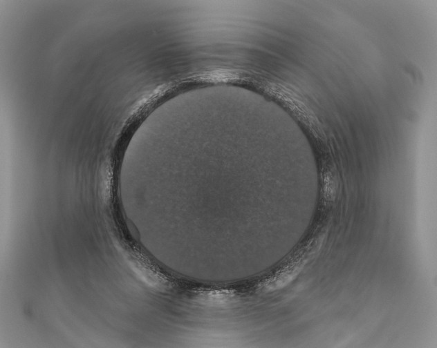 X0000110700304200907241130