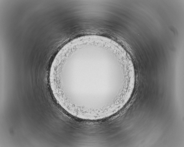X0000110700305200907241130