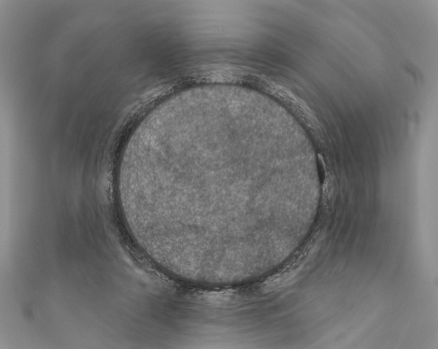 X0000110700306200907241130