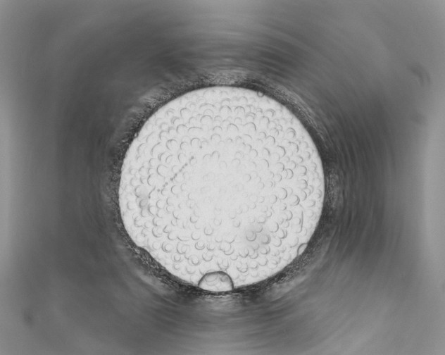 X0000110700307200907241130
