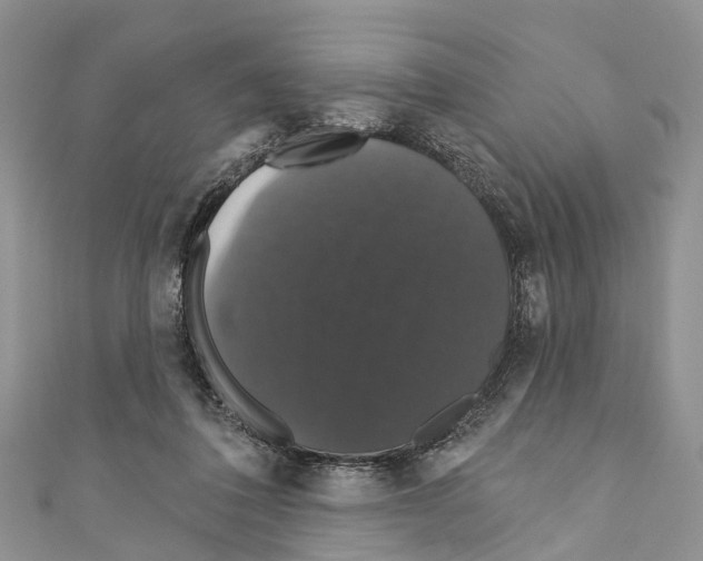 X0000110700308200907241130