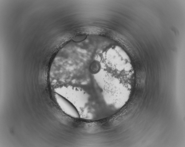 X0000110700309200907241130