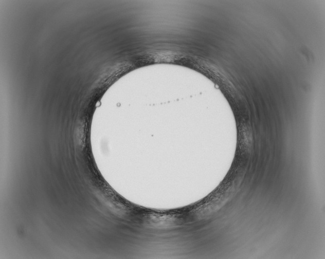 X0000110700311200907241130