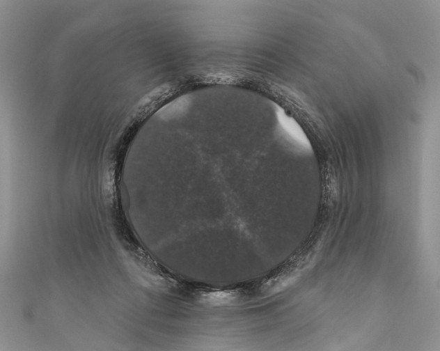X0000110700312200907241130