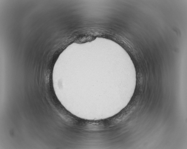 X0000110700315200907241130
