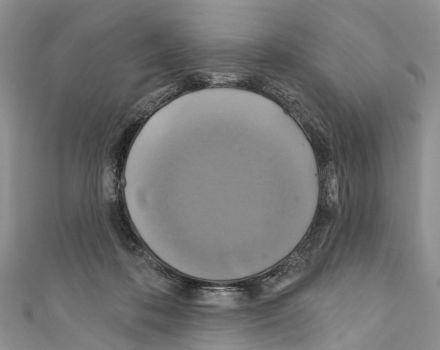 X0000110700316200907241130