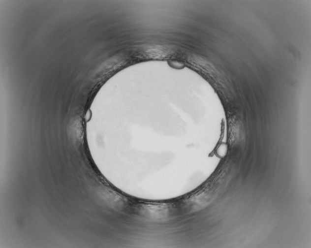 X0000110700317200907241130