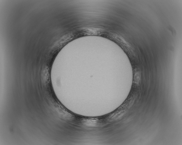 X0000110700318200907241130
