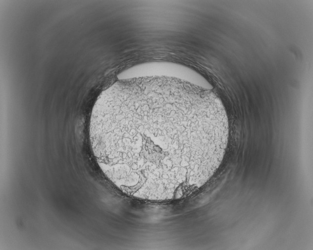 X0000110700319200907241130