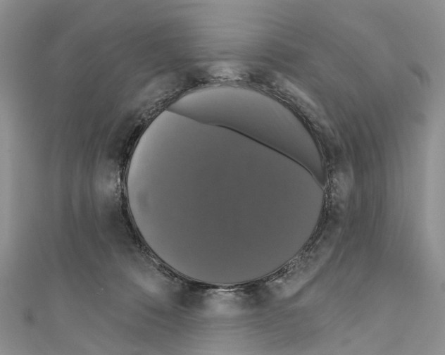 X0000110700320200907241130