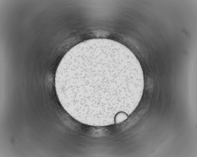 X0000110700321200907241130