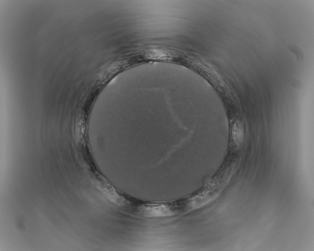 X0000110700322200907241130