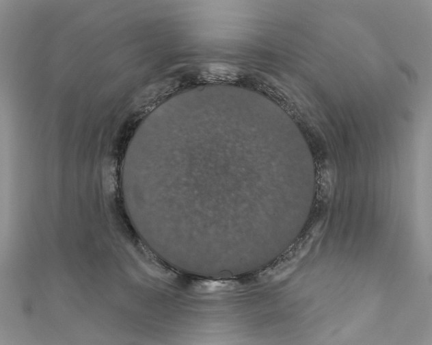 X0000110700323200907241130