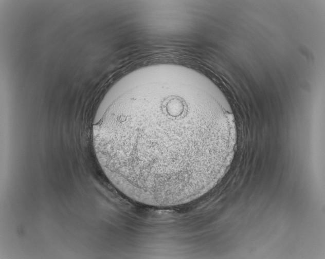 X0000110700324200907241130