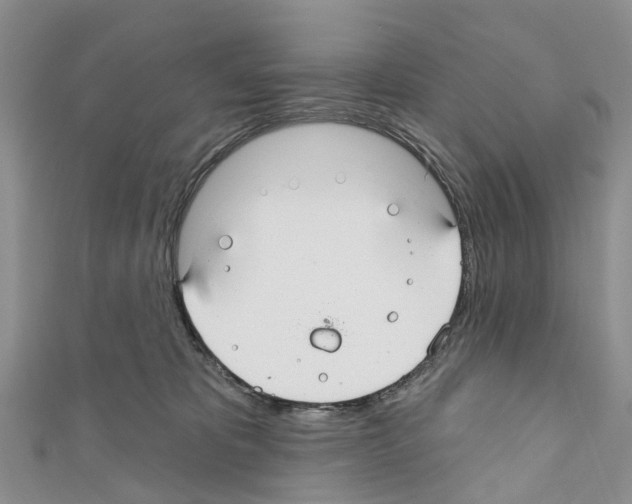 X0000110700325200907241130