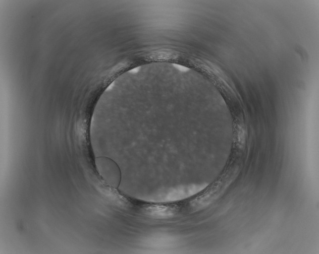 X0000110700326200907241130