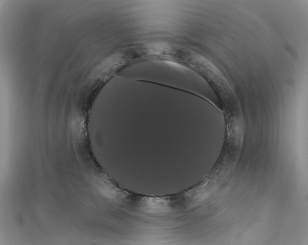 X0000110700327200907241130