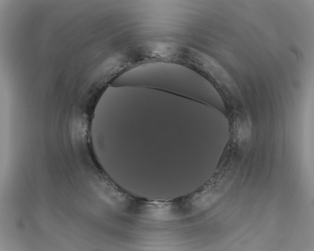 X0000110700328200907241130