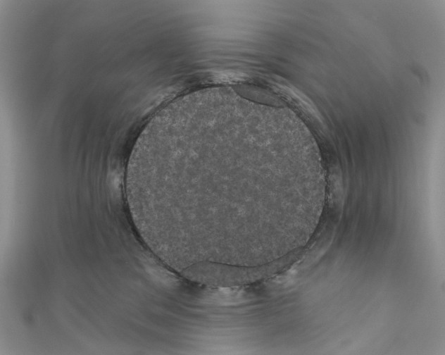 X0000110700329200907241130
