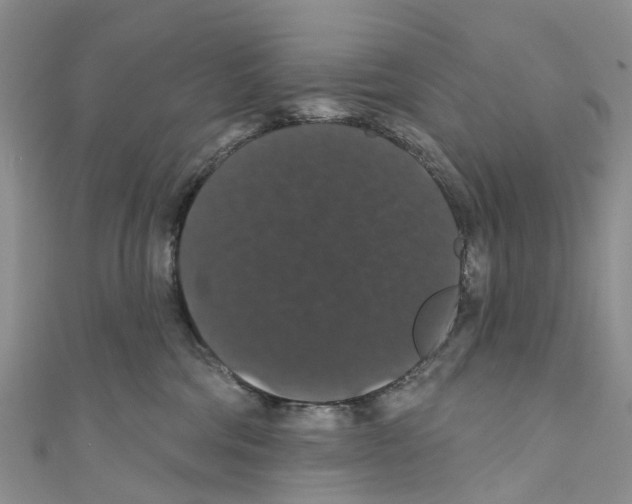 X0000110700330200907241130