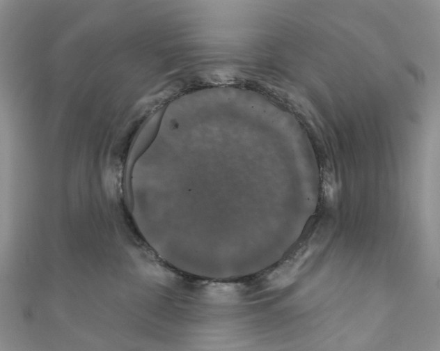 X0000110700332200907241130