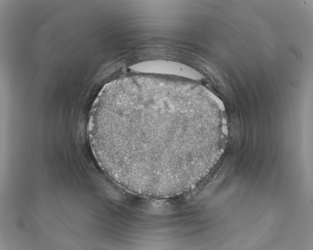 X0000110700333200907241130