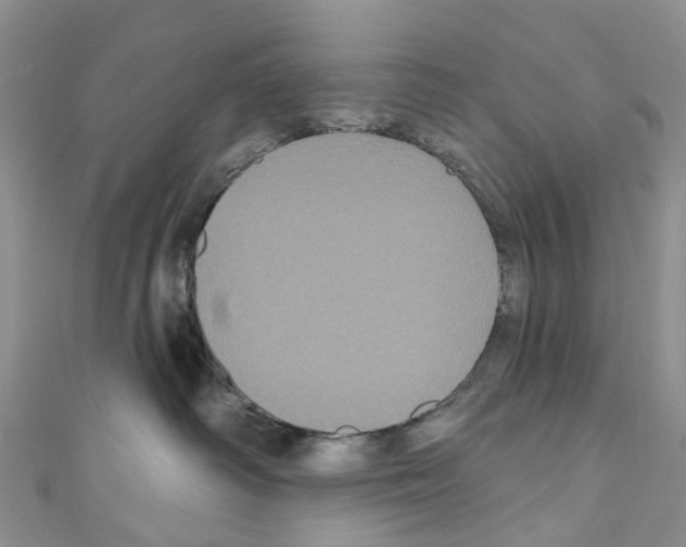 X0000110700334200907241130