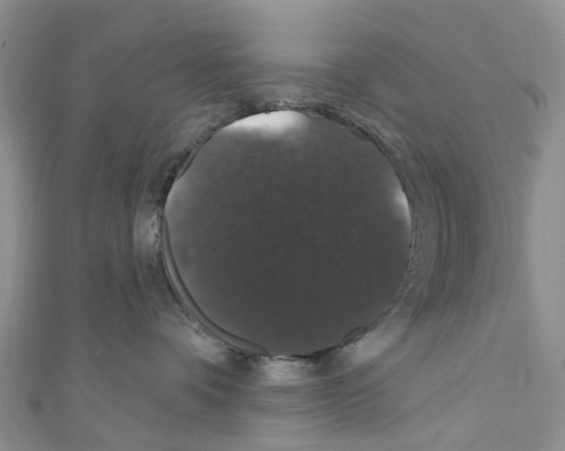 X0000110700336200907241130