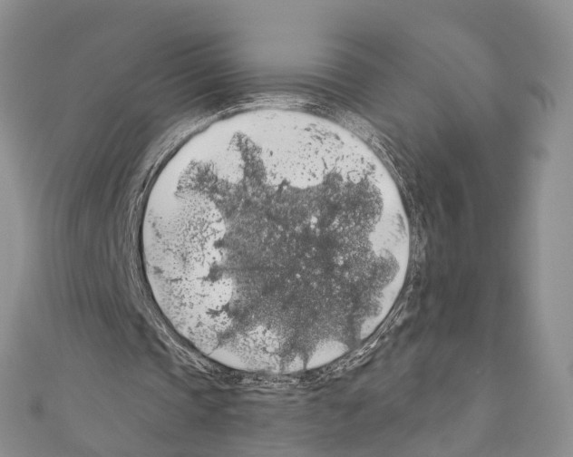 X0000110700337200907241129