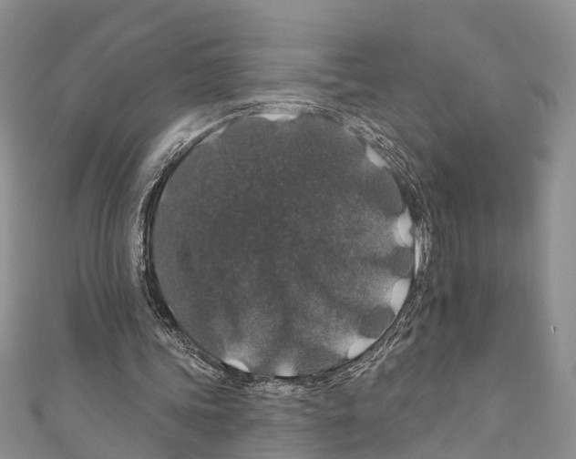 X0000110700339200907241129
