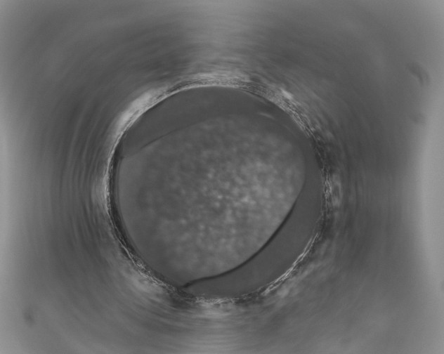 X0000110700340200907241129