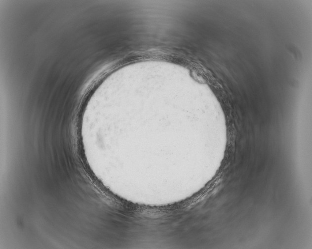 X0000110700341200907241129