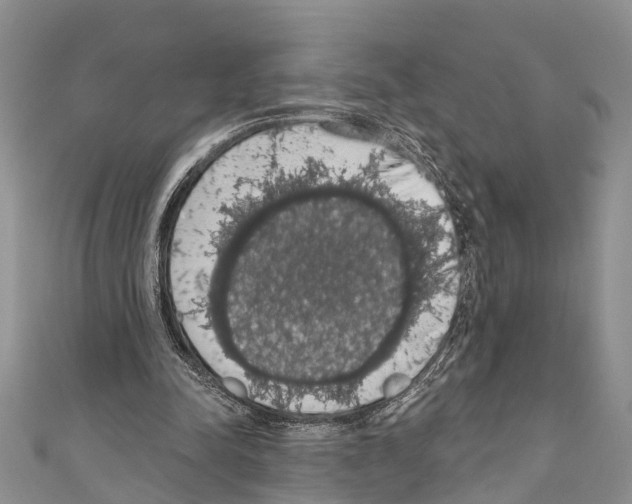 X0000110700342200907241129