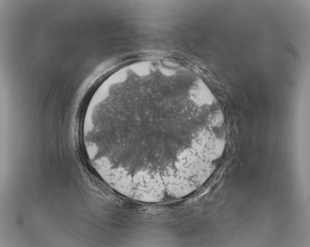 X0000110700343200907241129