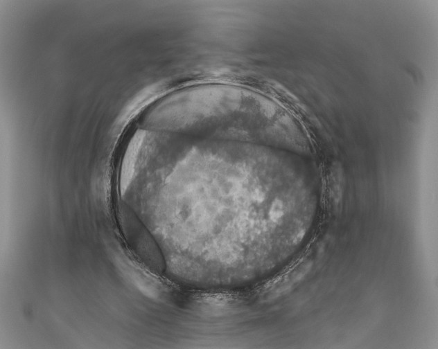 X0000110700344200907241129