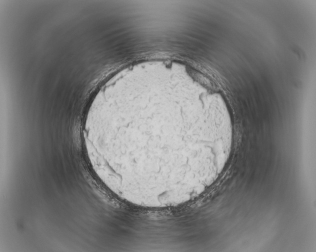 X0000110700345200907241129