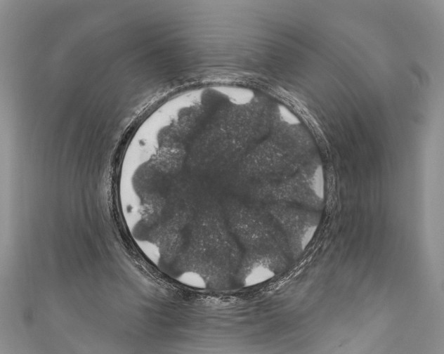 X0000110700346200907241129