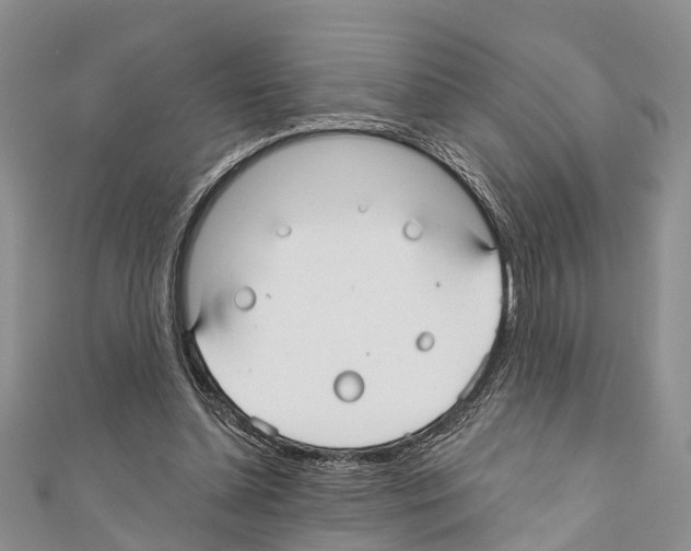 X0000110700348200907241129