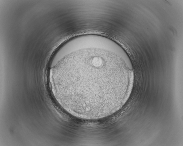 X0000110700350200907241129