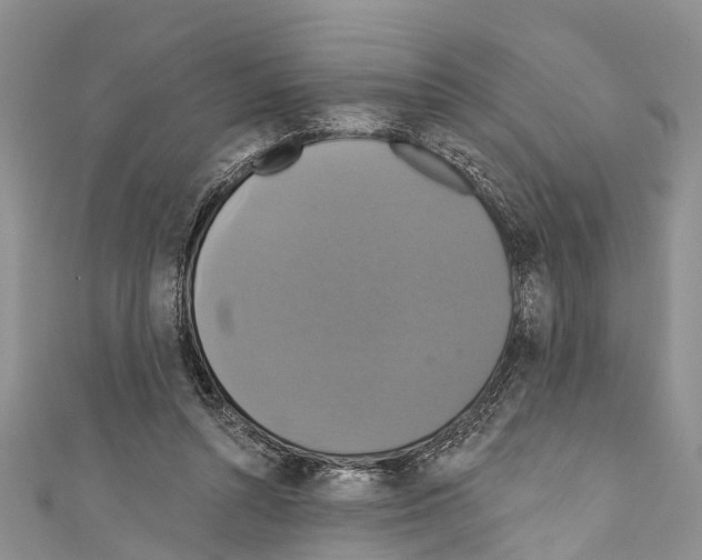 X0000110700352200907241129