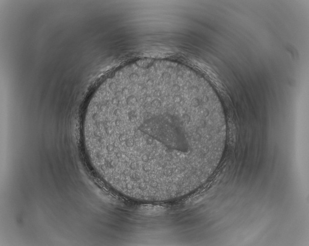 X0000110700354200907241129