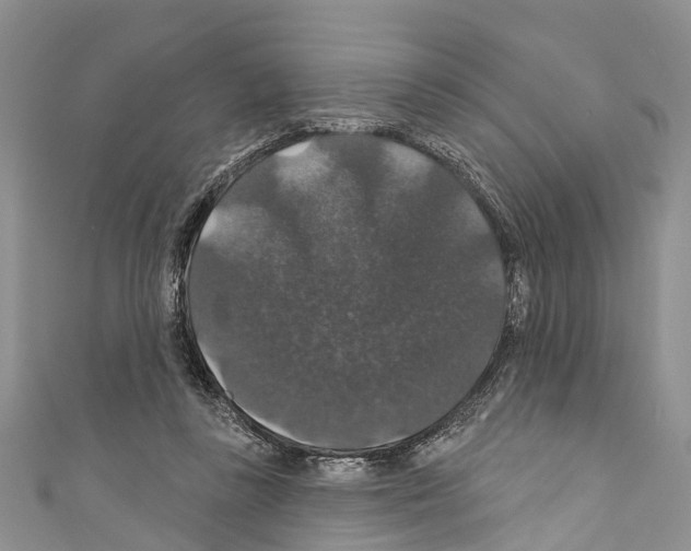 X0000110700355200907241129
