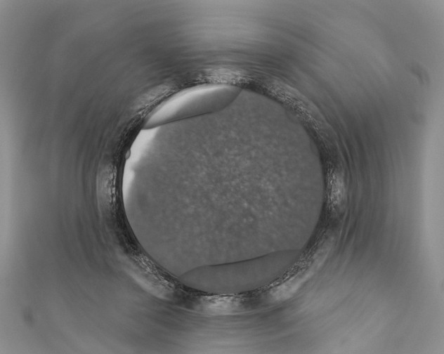 X0000110700356200907241129