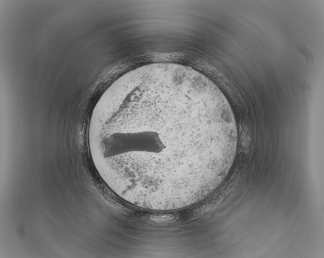 X0000110700357200907241129