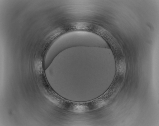 X0000110700360200907241129