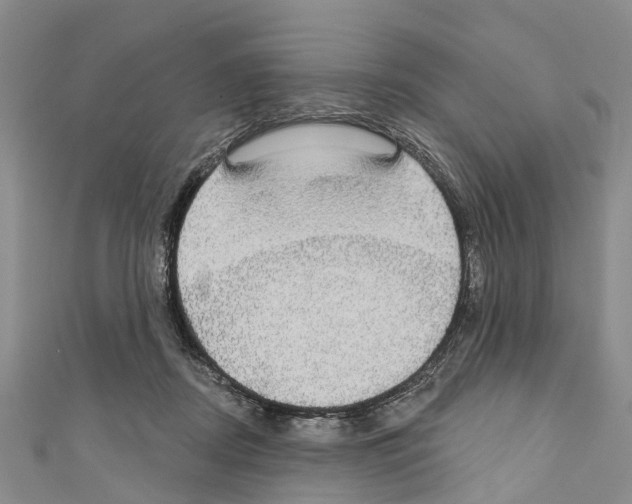 X0000110700362200907241129