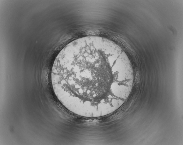 X0000110700363200907241129