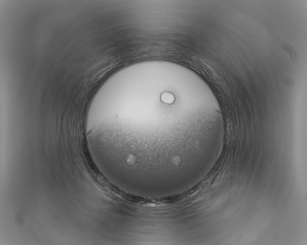 X0000110700364200907241129
